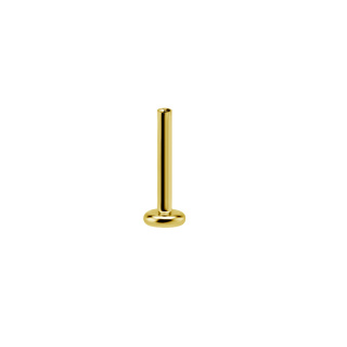 Gold PVD Labret Pin 3mm Plate