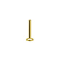 Gold PVD Labret Pin 4mm Plate