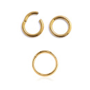 Gold PVD Titan Hinged Segment Ring-