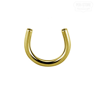 Gold PVD Titan Internal Thread Circular Barbell